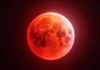 Lunar Eclipse 2026: Blood Moon Is Here Tonight — Complete Guide, Live Times, and Where to Watch Right Now
