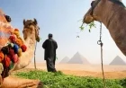 Travel to Egypt: Current Safety Guidelines and Advice