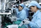 China’s Factory Activity Grows at Fastest Rate in Over 5 Years, PMI Reveals