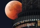 Blood Moon Total Lunar Eclipse Today Reveals Global Split Between Worm Moon and Blood Moon