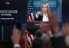 Kaitlan Collins Confronts White House: A Reporter, a Press Secretary and the Weight of Fallen Troops