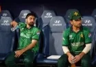 T20 World Cup: Pakistan player fined after alleged hotel misconduct — oversight questions exposed