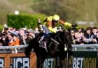 Galopin Des Champs Ruled Out but Praised as Cheltenham Looms