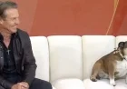 Dennis Quaid’s Unbothered Dog Steals the Spotlight: 5 Moments That Broke the Morning Broadcast