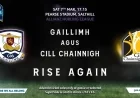 Galway Vs Kilkenny: Kilkenny team named as Round 6 in Pearse Stadium approaches
