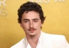 Timothée Chalamet Criticized for Dismissing Ballet and Opera Audiences