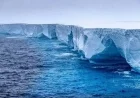 Now: This iceberg was once the biggest in the world — just weeks left