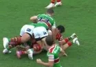 Latrell Mitchell: Sunday sizzler — Watch Dolphins v Rabbitohs Live and the ‘Try’ Headline