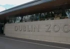 James Patrice Dublin Zoo: Row Erupts Over Mother’s Day Campaign as Takeover Nears