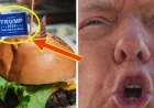 Spotting MAGA Restaurant Signs: A Guide for Observers