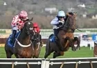 William Hill: Cheltenham Festival 2026 Preview — 28 Races, One British Hope
