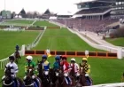 Racing Post: Cheltenham Going Changed on Eve of Festival — Watering Under Way and GoingStick at 6.2