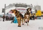 Iditarod 54 begins with deep snow and a smaller field — the spectacle is growing even as participation thins