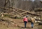 Severe Storms left a private road in Branch County rewriting itself, one broken board at a time
