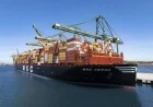 MSC Implements Global Route Surcharges