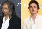 Timothée Chalamet Criticized on The View for Opera Comments