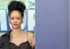 Police Identify and Arrest Suspect in Rihanna Home Shooting with AR-15 Rifle