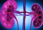 Vertex Drug Shows Promise in Reducing Kidney Disease Marker in Late-Stage Trial