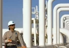 Saudi Arabia Unveils Pipeline to Bypass Hormuz Strait