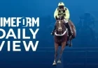 Fast Results expose gaps in Cheltenham day-two narrative on Champion Chase and novices