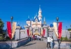 Hazmat Incident at Disneyland: Five Employees Receive Treatment