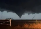 Watch Vs Warning: The gap between tornado alerts and what the public assumes they guarantee