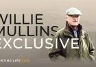 Bambino Fever Horse exposes why bookies are ‘fearing the worst’ over a Willie Mullins treble