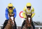 Bambino Fever: Clare Owners Hope For Another Memorable Cheltenham Moment