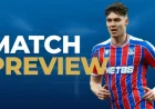 Crystal Palace Vs Aek Larnaca: predictions, betting tips and Selhurst Park turnstile change