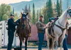 CBS Renews ‘Yellowstone’ Spinoff ‘Marshals’ for Season 2