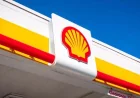 Failure Pays Well: Shell CEO Bags 60% Pay Rise as Profits Slide and the Planet Warms