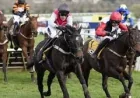 Cheltenham 2026 Results: 50-1 Triumph Hurdle shock exposes festival volatility