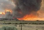 Nebraska Fires 2026: 36,000 Acres Scorched, Farnam Under Evacuation, Red Flag Warning Active Through Saturday