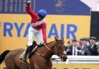 Envoi Allen Horse collapses and dies after Cheltenham Gold Cup