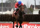 Envoi Allen Horse: Tragedy at the Cheltenham Gold Cup