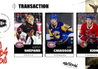 Hunter Shepard Heads to Canadiens as AHL Trade Deadline Sparks Two-Club Shuffle