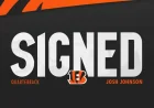 Bengals Secure Quarterback Josh Johnson Signing