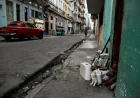 Cuba after the island-wide blackout: a new inflection point for the energy crisis