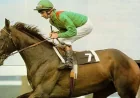 Shergar Horse as two-part documentary airs — a renewed look at the 1983 kidnapping