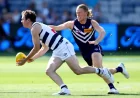 Hayden Young Injury forces Dockers to reshuffle as debut looms for Scerri