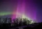 Northern Lights Aurora Borealis Forecast: Eyes Up as Bright Auroras Could Transform Canadian Night Skies
