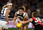 Vfl Scores: Hawks Locked In for Season Opener as EDFL Players Spread Across the League