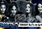 Nikki Bella and The Bella Twins hit a turning point after their SmackDown title match ends in disqualification