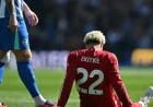 Liverpool V Brighton: Early Injury, Arsenal Chant and a Flurry of Questions for the Reds