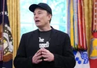 Elon Musk Tsa Salary Offer: 4 Fault Lines Exposed by the DHS Shutdown Standoff