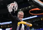 UConn Awaits as You Qualify for NCAA Tournament