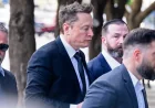 Elon Musk Liable for Defrauding Twitter Investors