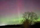 Aurora Borealis Forecast: Why March Equinox Lights Draw People to Dark Parks