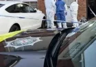 Amy Doherty: Forensic probe and an arrest leave Derry community in ‘shock and devastation’