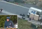 NY Mailman Incident with Jewish Child Not Classified as Hate Crime